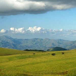 Hellooooo world! Buy my stuff please.